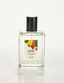 Perfume Isolda Cajueiro Phebo 100ml